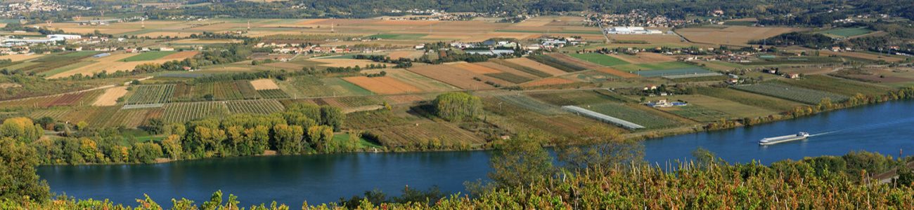 France, Ardeche (07), Andance, vignoble et Le Rhone (vue aerienne)