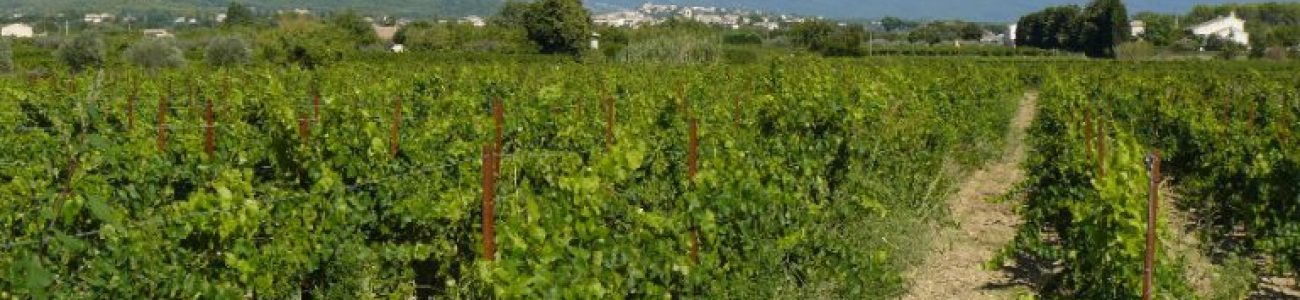 LAOC-Ventoux-sengage-pour-le-Climat-768x576